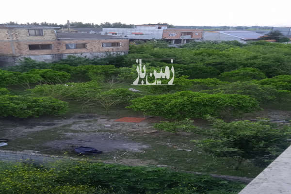 زمین مسکونی با درختان میوه بین فریدونکنار و آمل ۲۴ متر بر-1
