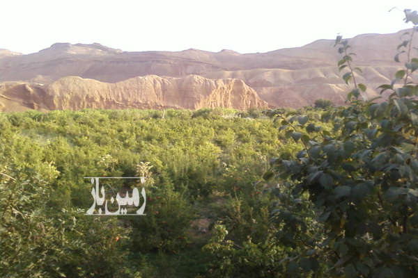 باغ انار ۲۵۰۰ متری (۵۰۰ متر زمین کلنگی) جاده دوآب آبسرد-2