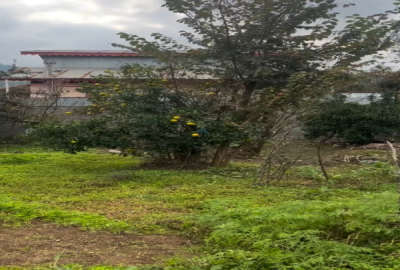 زمین مسکونی روستای قصاب محله لاهیجان ۳۷۳ متر