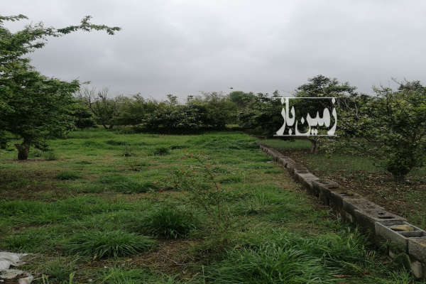 باغ مرکباب ۷۸۰ متر امل دشت سر روستای مزرس-3