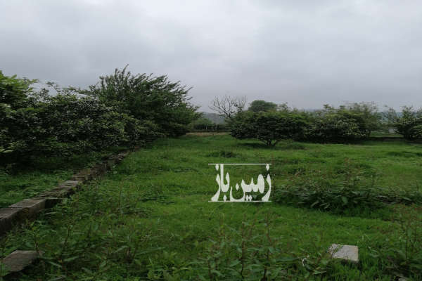 باغ مرکباب ۷۸۰ متر امل دشت سر روستای مزرس-4