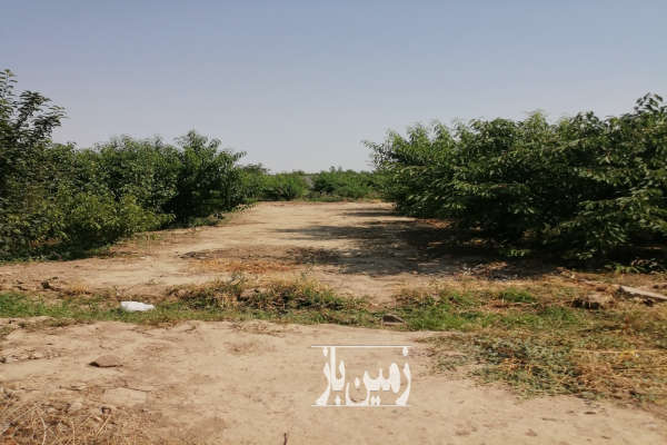 زمین باغی سر بر کوچه باغ برق سر زمین فردوسیه ۷۵۰ متر-1