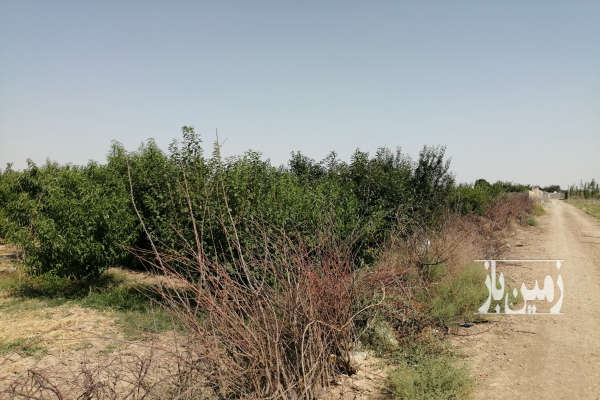 زمین باغی سر بر کوچه باغ برق سر زمین فردوسیه ۷۵۰ متر-4