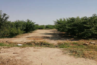 زمین باغی سر بر کوچه باغ برق سر زمین فردوسیه ۷۵۰ متر