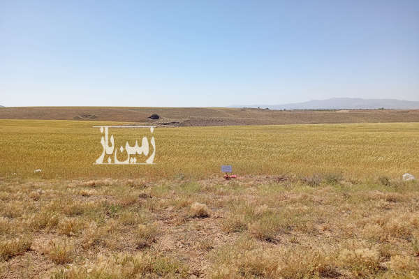 زمین مسکونی و زراعی هکتار وخرد قواره ای پالتو زنجان-2
