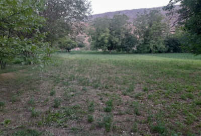 ۱۵۰۰ متر باغ میوه باسند در کلات نادری
