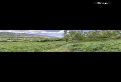 زمین باغی روستای صالحان کجور قابل ساخت ۱۶۰۰ متر