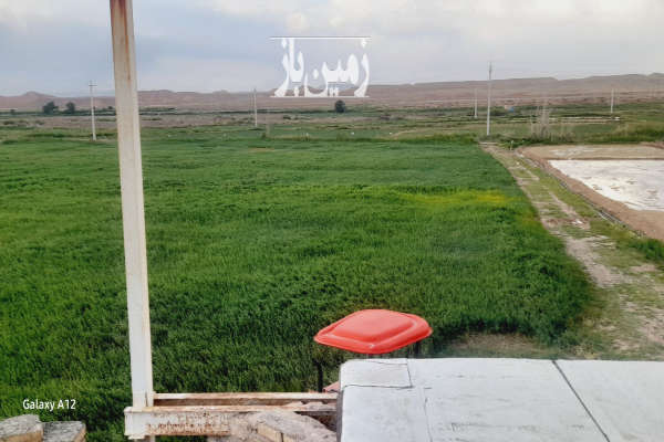 سه هکتار زمین واقع در روستای سلطان آباد(قولی قصه)-2
