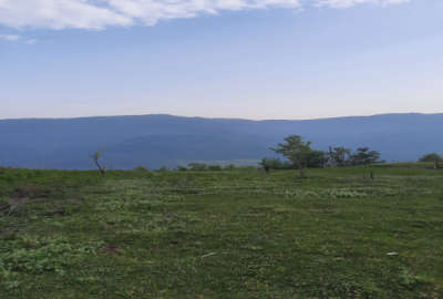 زمین با ویو ابدی روستای سرسبز سرتا ۱۵۰۰ متر فروشی