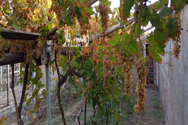 باغ ویلایی نزدیک شهر در روستای آغجه اوبه ۱۷۰۰ متر-1