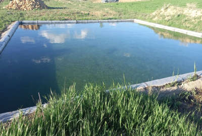 باغ و زمین زراعی با یک چشمه مستقل هردو سند دار ۱۸۵۵۰ متر