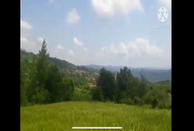 معاوضه زمین ۱هکتاری در روستای امره ساری
