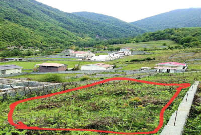 زمین داخل بافت شهرکی در روستای توریستی لاویج