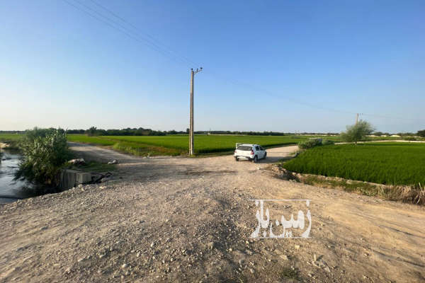 زمین کشاورزی زراعی فعلا شالیزار روستای دیوکلا-1