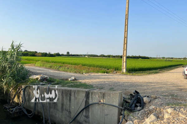 زمین کشاورزی زراعی فعلا شالیزار روستای دیوکلا-2