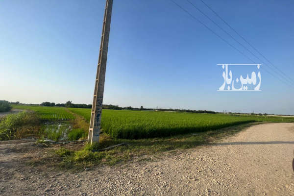 زمین کشاورزی زراعی فعلا شالیزار روستای دیوکلا-4