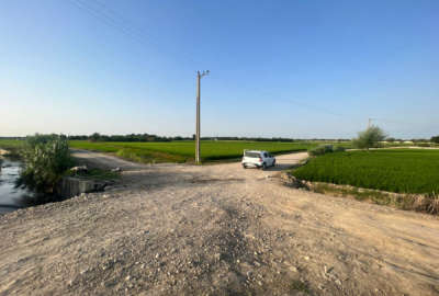زمین کشاورزی زراعی فعلا شالیزار روستای دیوکلا