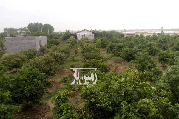 زمین قابل ساخت ساز کیاکلا جاده کیاکلا ب جویبار ۲۰۰۰ متر-1