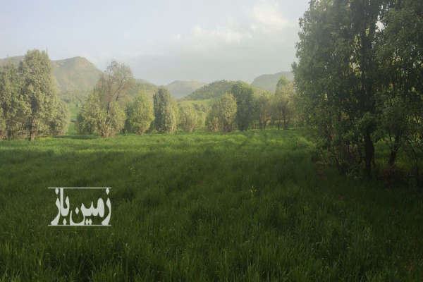 زمین کشاورزی دیم نزدیک چاه آب در ویسیان-1