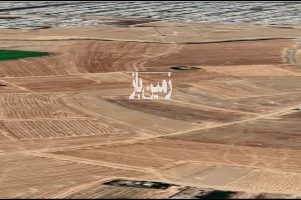 زمین باغ با سند تک برگ فاصله کم از شهر-2