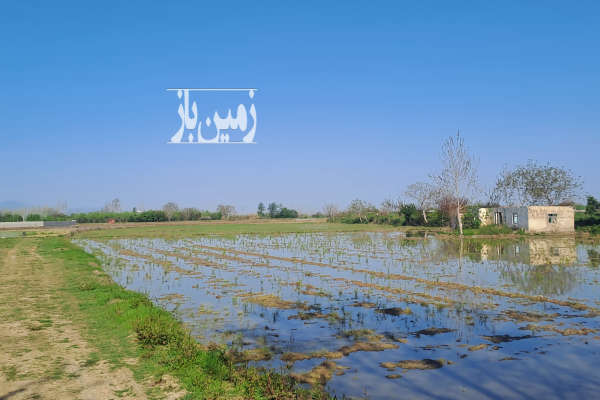 زمین مسکونی و کشاورزی در بندپی غربی شهر خشرودپی-1