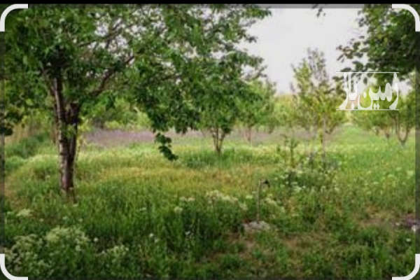 متراژ زمین ۴۵۰۰۰ متر می باشد به صورت قطعه بندی-2