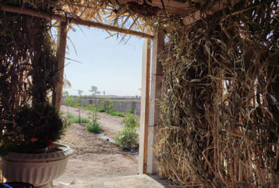 باغ شهرآباد چهار دیواری مربع حدود ۱۲۰ تا درخت سه ساله