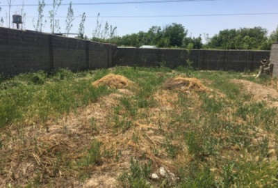 زمین مسکونی ۲۱۳متری دیوارکشی واقع در روستای مصلح آباد