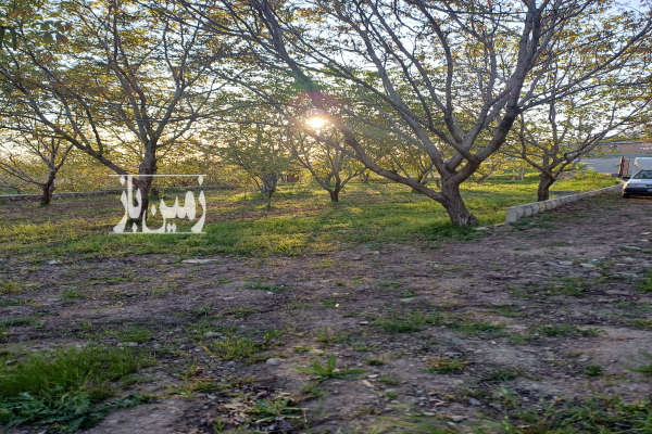 باغ ۵۰۰ متر روستای خوزنان بر خیابان اصلی-1