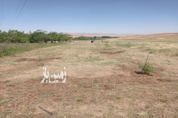 یک عدد باغ ۳۰۰ متر در روستای گل تپه زنجان-4