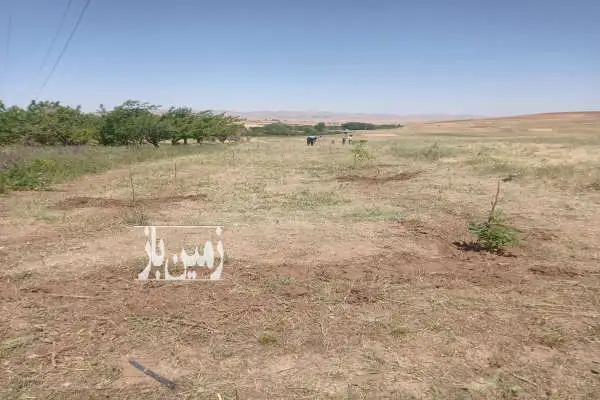 یک عدد باغ ۳۰۰ متر در روستای گل تپه زنجان - تصویر 4