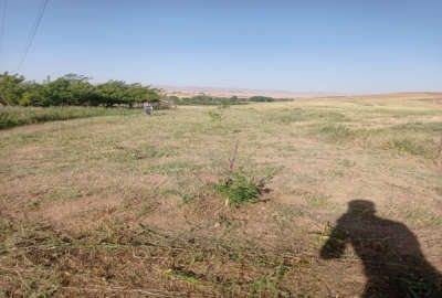 یک عدد باغ ۳۰۰ متر در روستای گل تپه زنجان
