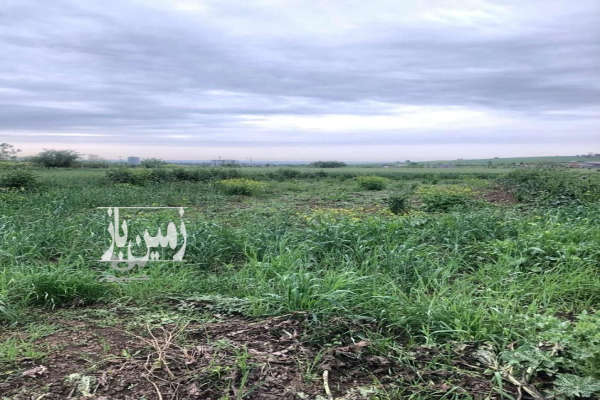 زمین سعداباد مناسب باغ ۴۰۰ متر ویو عالی-1