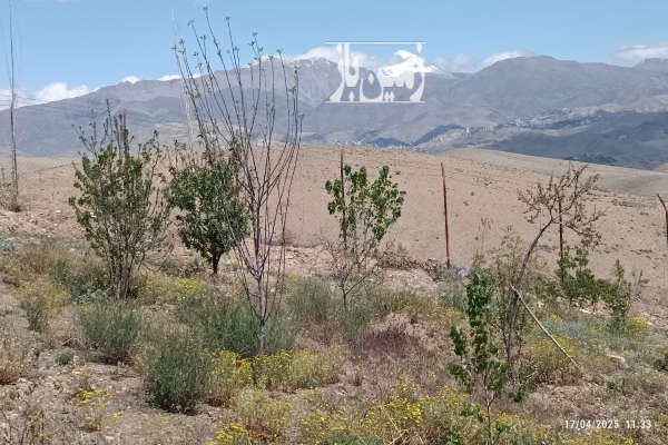 باغ مشجر در شهرک تماشا نزدیک بومهن و پردیس ۷۰۲ متر-3