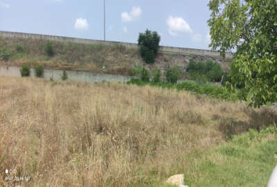 زمین کشاورزی (صنعتی) چسبیده به اتوبان روستای هولا