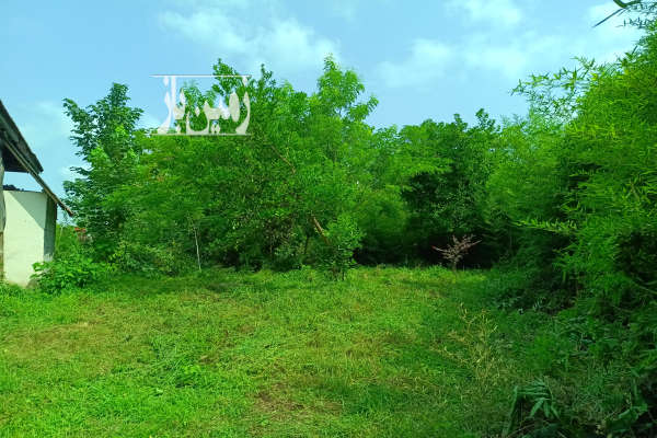زمین مسکونی ۱۶۰۰ متری با خانه روستای نشرودکل-3