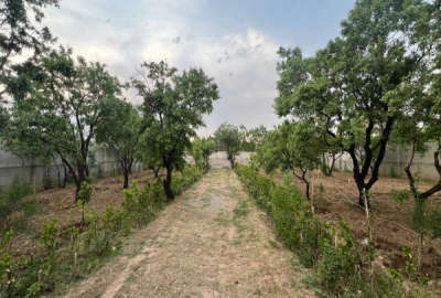 زمین باغی ۱۰۰۰ متری دنج و آرام در روستای شفیع آباد