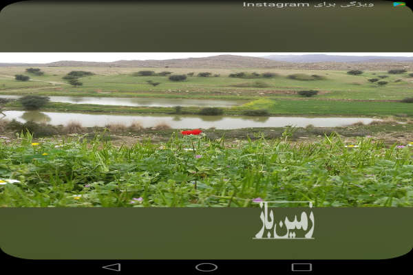 زمین کشاورزی بخش ۵ دزفول ابتدای توت علیا تا آب پیر فضک-3