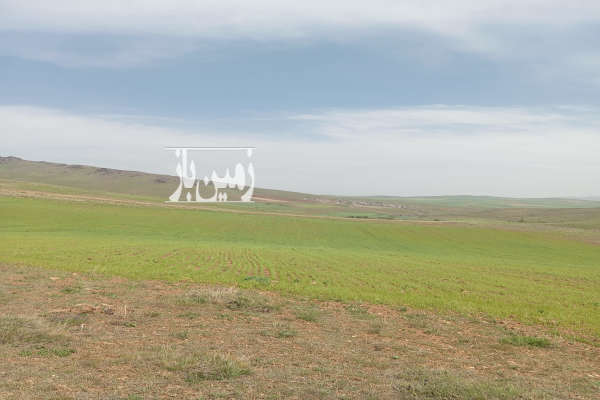 زمین کشاورزی روستای اله دره علیا ۴ هکتار-1