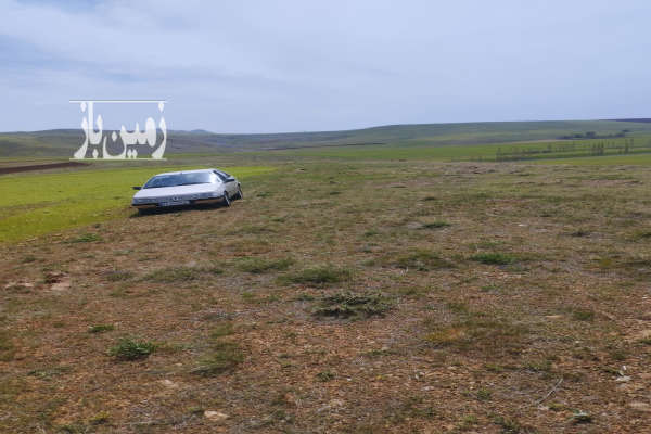 زمین کشاورزی روستای اله دره علیا ۴ هکتار-3