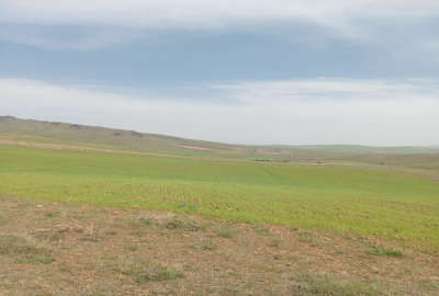 زمین کشاورزی روستای اله دره علیا ۴ هکتار