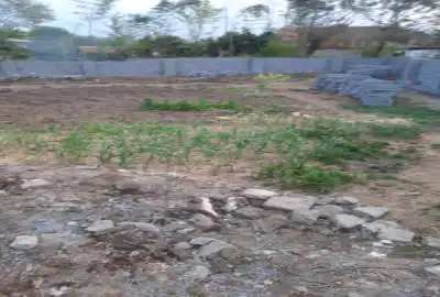 زمین مسکونی ۵۲۹ متری روستای بوئین راسته کنار
