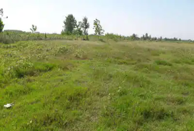 زمین مسکونی ۴۰۰ متری در روستای نوخاله پیربازار