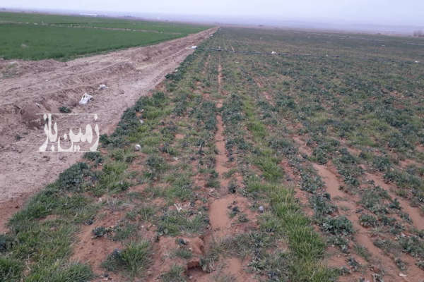 زمین کشاورزی آبسرد ۲۰۰۰ متری دارای آب-1