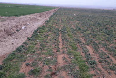 زمین کشاورزی آبسرد ۲۰۰۰ متری دارای آب