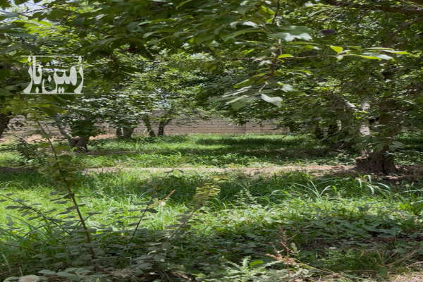باغ استثنایی ۱۰۵۰ متری در محمدآباد افشار چهارباغ کرج-4