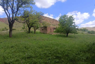 باغ فروشی در نزدیکی ترکمانچای روستای گوگدرق ۸۳۲۱ متر