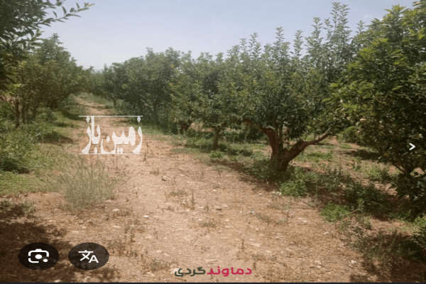 ۳۰۰۰ متر زمین در سربندان (گردکوه) ۲۵ دقیقه آب-1