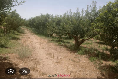 ۳۰۰۰ متر زمین در سربندان (گردکوه) ۲۵ دقیقه آب