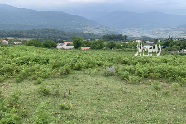 زمین مسکونی ۵۷۰ متر روستای ورند ساری-4